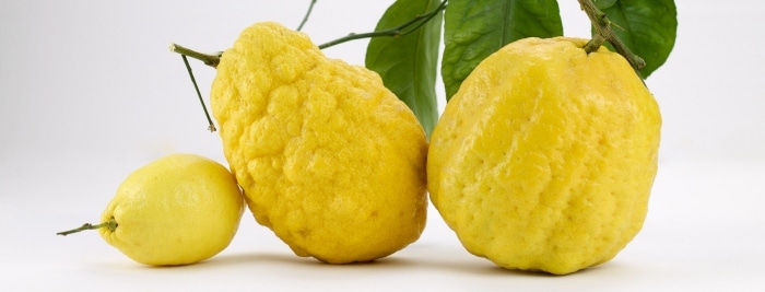 Porovnanie cedrátu a citrónu.