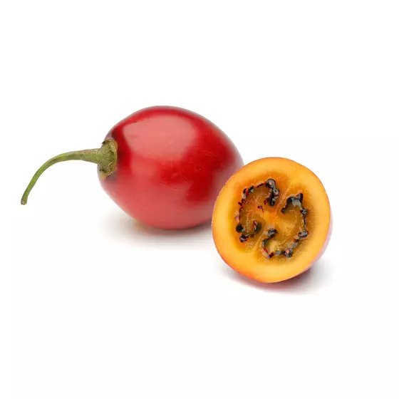 Čerstvá paradajka.