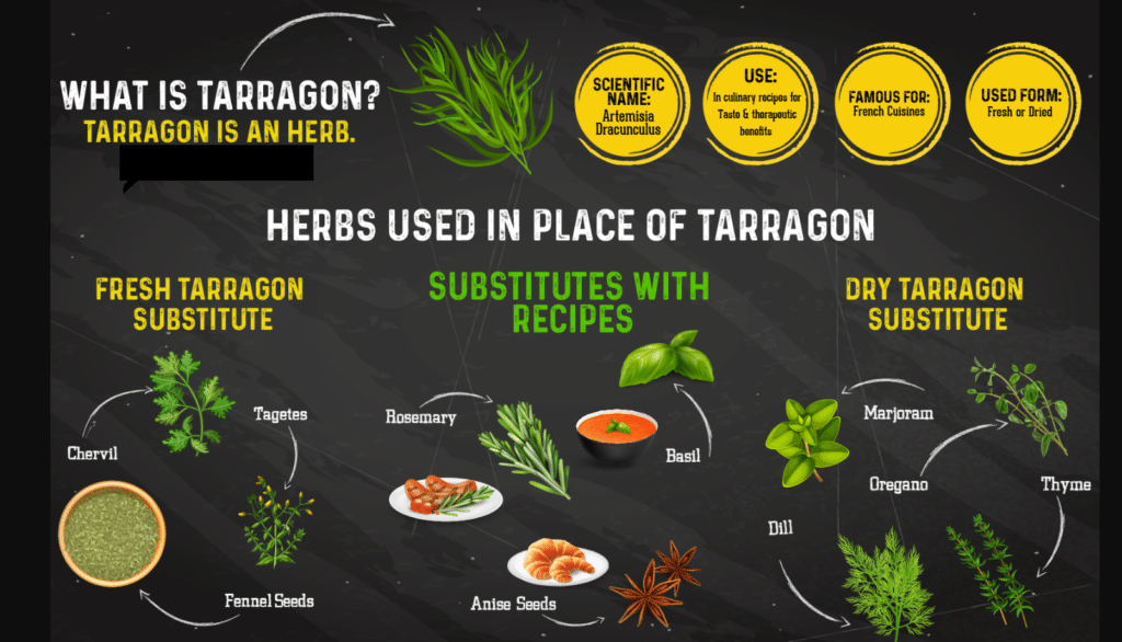 Najbežnejšie bylinky, ktorými je možné nahradiť chuť estragónu.