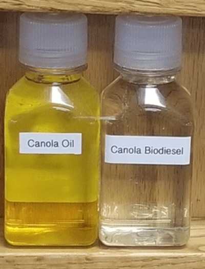 Fľaštička s repkovým olejom a bionafotu vyrábanou z repky.