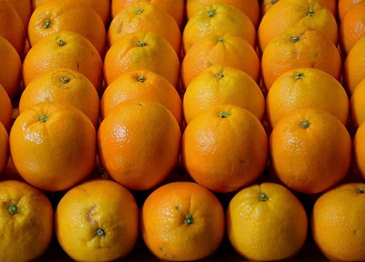 Veľa čerstvých obyčajných pomarančov.