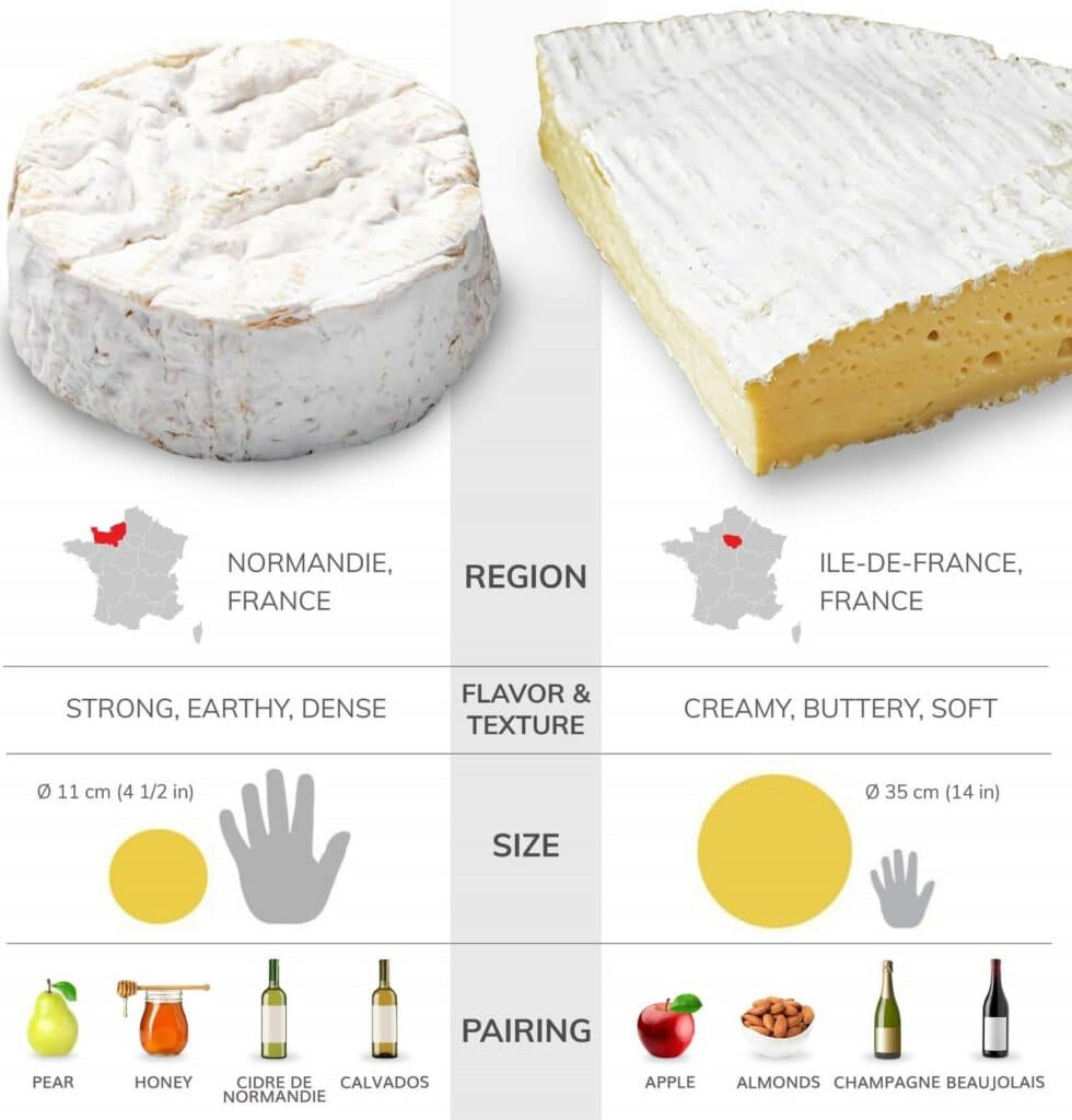 Rozdiel medzi hermelínom a francúzskym syrom camembert.