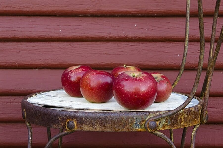 Čerstvé jablká položené na stoličke.