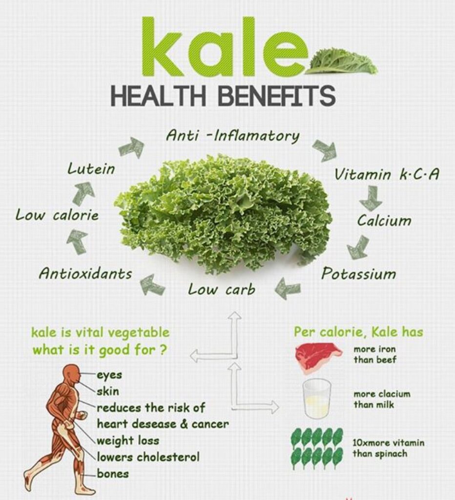 Zdravotné účinky tejto zeleniny, ktoré obsahuje a sú prínosné pre telo.